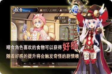 神明秩序幻域神姬玩家心得交流