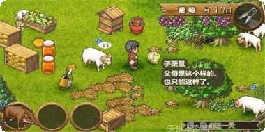 欢迎来到民间庄园任务