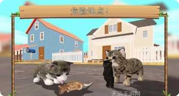 猫咪生存日记攻略