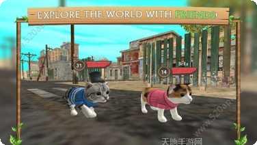 猫咪生存日记下载