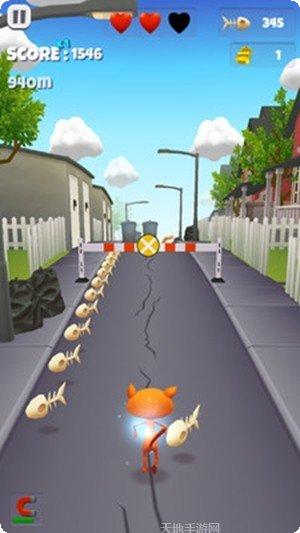 宠物猫跑酷技巧解析