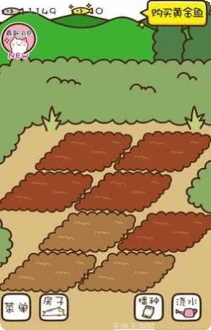 猫咪田田下载地址