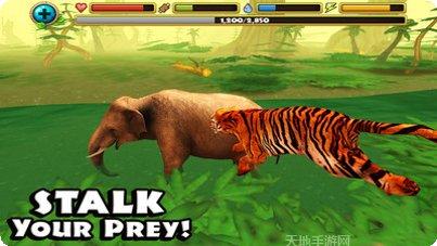 老虎模拟器2021攻略分享