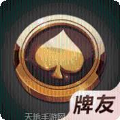 牌友游戏