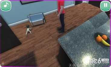 找到你的性别互动游戏