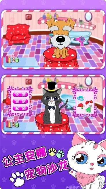 公主安娜做蛋糕最新版本