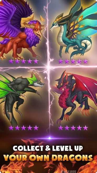 合并龙进化宠物搭配