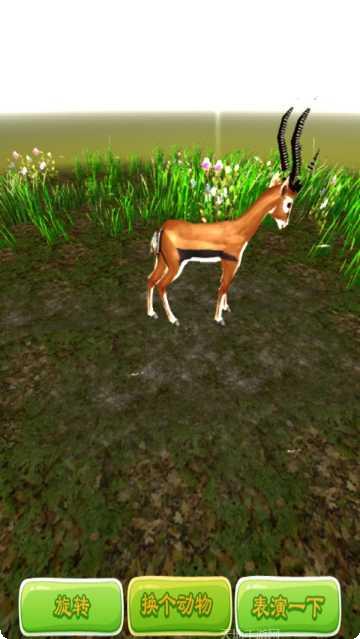 3D野生动物园建造乐园