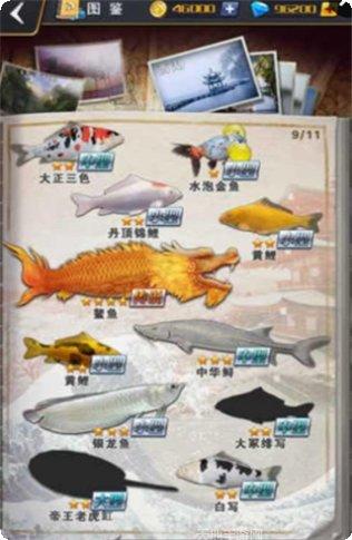 世界钓鱼之旅玩法介绍