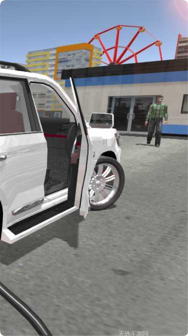 真实汽车驾驶挑战