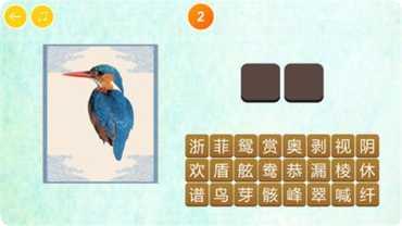 宝宝动物治疗挑战