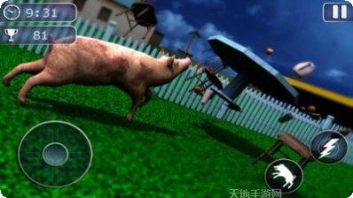 一只特立独行的猪下载