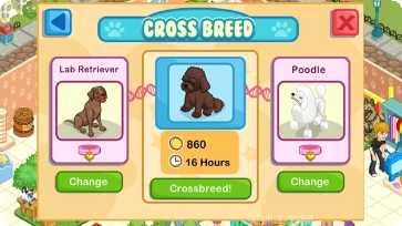 宠物店和动物护理趣味挑战