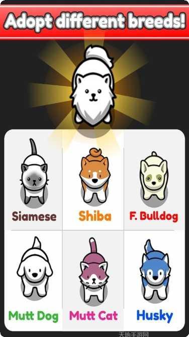 放置宠物怎么玩