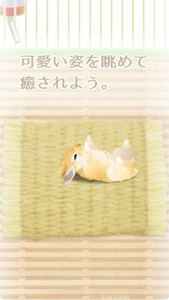 治愈系水母养成游戏最新版本