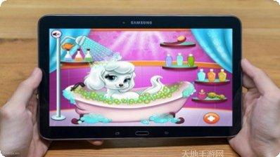 公主宠物换装游戏下载