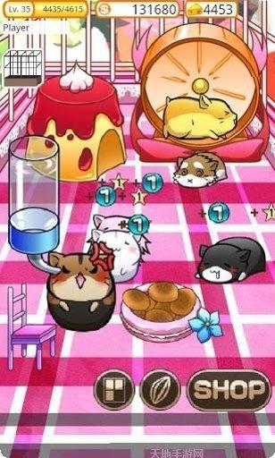 模拟宠物大亨最新版本