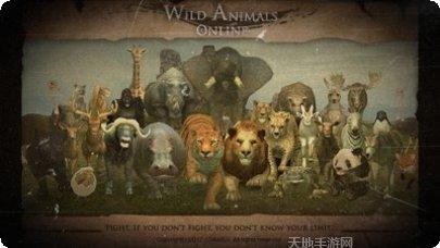 野生动物园猎人攻略