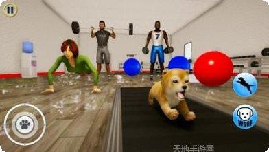 小狗模拟器攻略