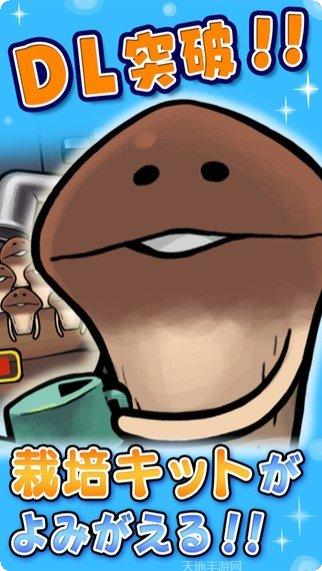 滑子菇栽培套装下载