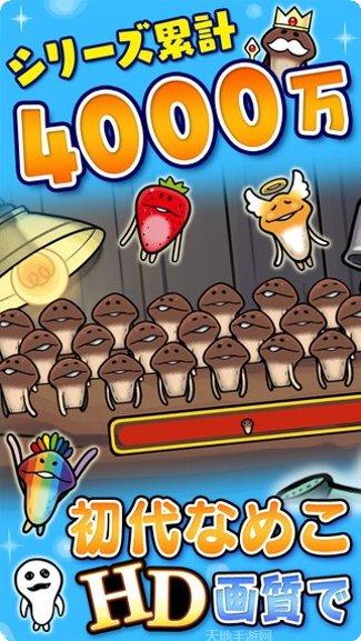 滑子菇栽培套装玩法介绍