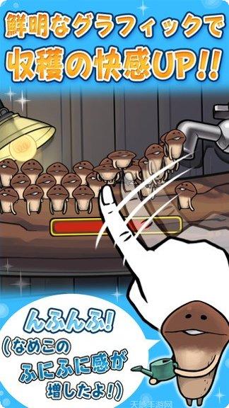 滑子菇栽培套装最新版本