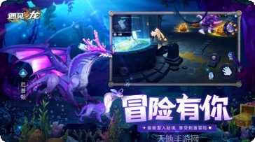 遇见龙龙之战下载