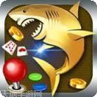 金鲨鱼游戏