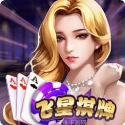 飞星游戏