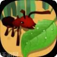 蚂蚁进化手机版官方版