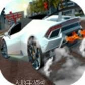 真实极品赛车完整版