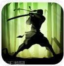 暗影格斗忍者2