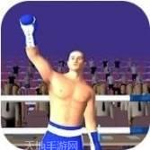 超级拳击锦标赛