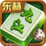 东林九江麻将