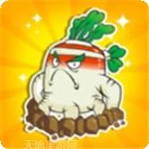 花花大战丧尸红包版