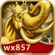 wx857游戏
