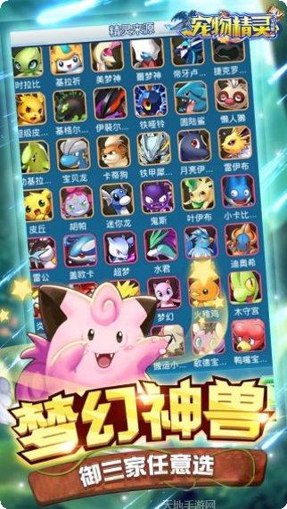 宠物精灵宝可梦BT满V版激活码