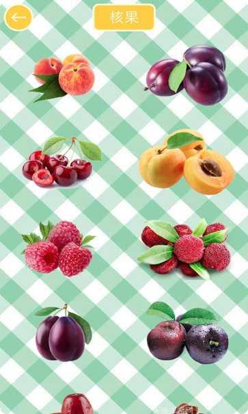 儿童水果粉碎机游戏下载