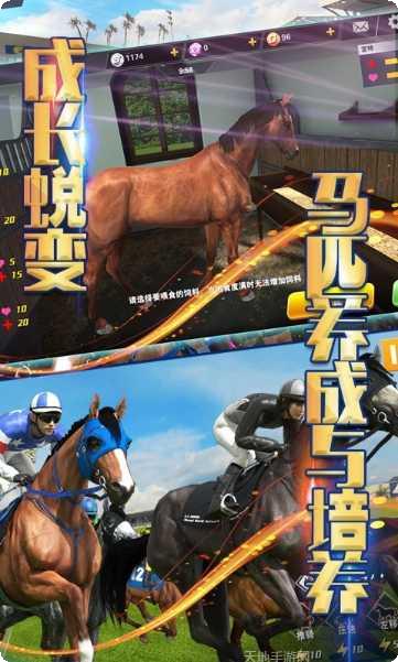 相马大师下载