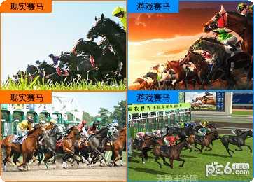 相马大师最新版本