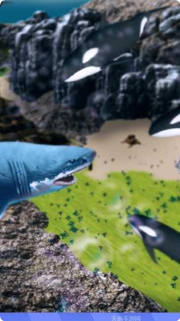 海底大鱼吃小鱼游戏攻略大全