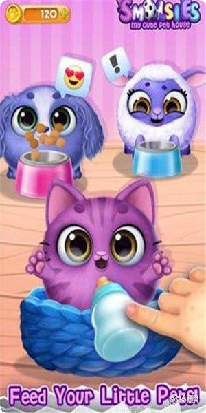 我可爱的小鸡游戏下载