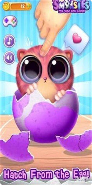 我可爱的小鸡攻略大全