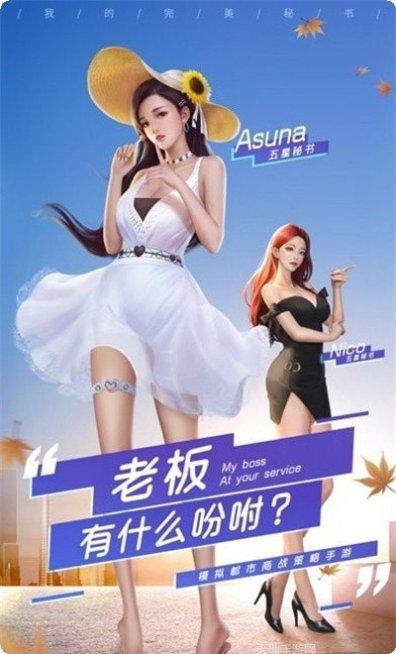 极品女秘书游戏攻略