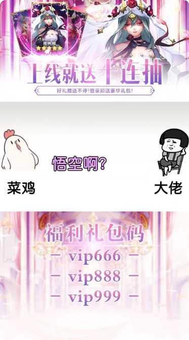 全民养小猪攻略