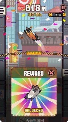 猫咪跳跃技巧分享