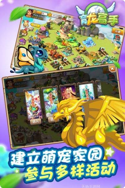 育龙高手新手指南