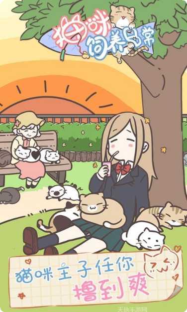 猫咪饲养日常攻略