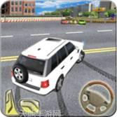 普拉多越野特技