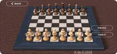 国际象棋大师汉化版下载